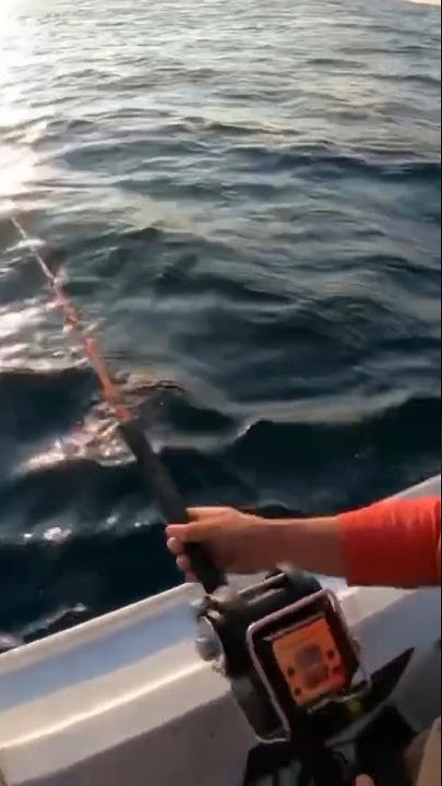 Поймал Камчатского МОНСТРА🦀с глубины #рыбалка #спиннинг #камчатка - YouTube