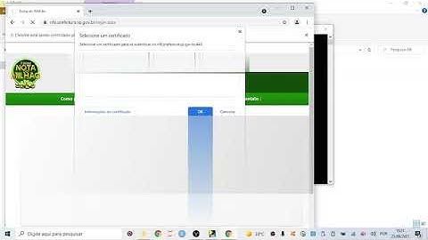 Web Scraping Python, Bot Selenium e Pyautogui, Download das NFs de Serviço Prefeitura de São Paulo.