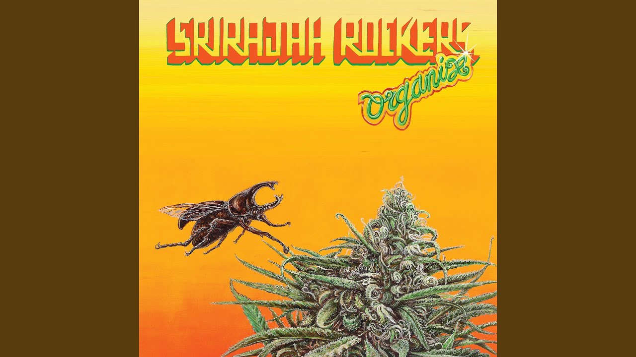 SRIRAJAH ROCKERS - Organix (Live in Tokyo 🇯🇵) - YouTube