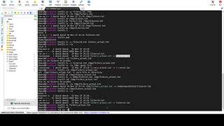 Comandos básicos de Linux relacionados con el sistema de archivos
