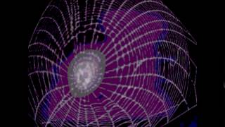 "The Moebius Orb Web of Celestial Harmony"
