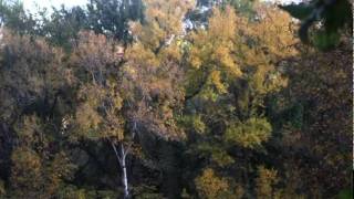 Automne Salernes.avi