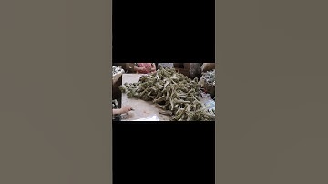Knotted Bamboo Skewers Manufacturing and Packing