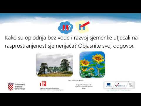 Video: Je li mikrosporogeneza mikrosporangij?