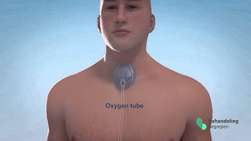 How good medical information can be vital - NSvG animation