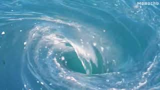 【白噪音】\ 【白噪音】\