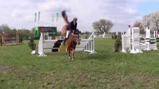 Rip Indira Van Het Poeleind Broechem 2013, 5Y