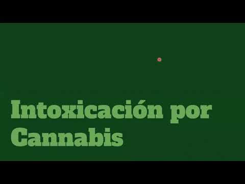 Video: La Guía Para Adultos Sobre Los Elementos Esenciales De Transporte Diario Para El Cannabis