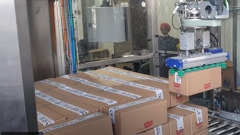 Packing Machine - Case Packer - Pillow Bags -