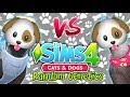 The Sims 4: Random Genetics DOG Challenge VS Yammy