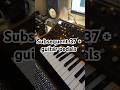 Subsequent 37 and some guitar pedals this evening #sounddesign #moog #subsequent37 #guitarpedals