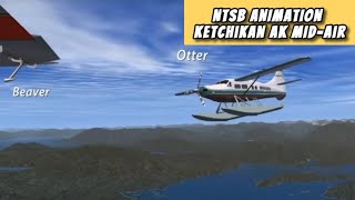 NTSB Animation Ketchikan AK Mid-Air from May 2019