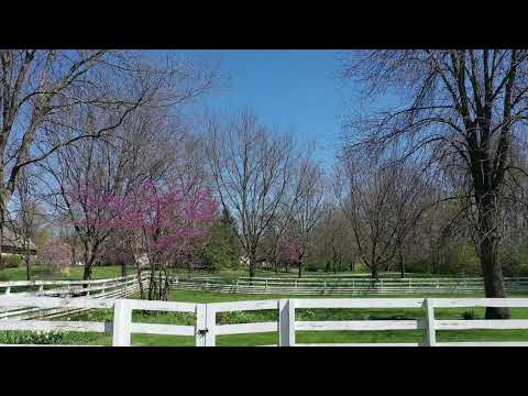 12780 River Rd, Carmel, IN home video tour