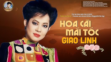 Hoa Cài Mái Tóc - Giao Linh | Tác Giả: Thông Đạt