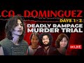 LIVE COURT: The Davis Stabbings Trial 🔪 - CA v Dominguez Days 1-2
