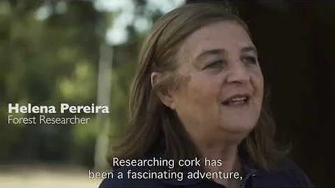 Helena Pereira | Forest Researcher (EN)