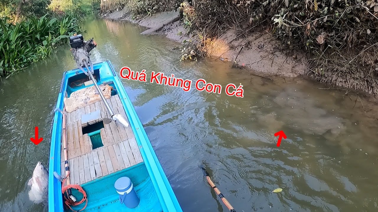 Lâu Lắm Mới Gặp Lại Hàng Khủng Ở Con Nước Cạn Khô Miền Tây | Kích Cá Miền Tây | Catch Fish