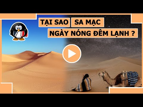 Video: Trái ngược với sa mạc lương thực là gì?