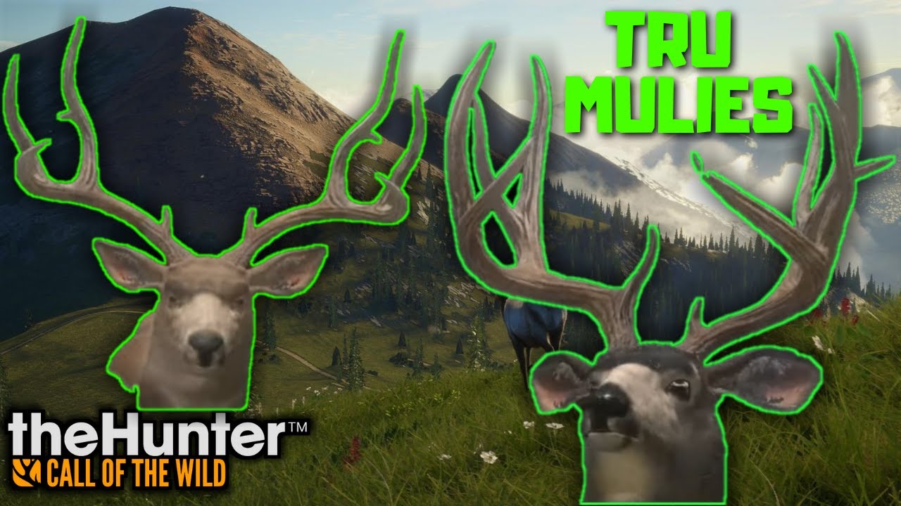 My First Impressions of the TRURAC Mule Deer theHunter Call of the