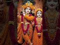 राधे राधे࿐🥰❤️🙏  #radhakrishn #krishn #krishnworld #viralreel #radharani #viral #dwarka #dwarkadhish