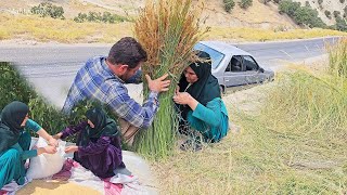 Behind the Beauty of Village Life Lies a Sad Reality
