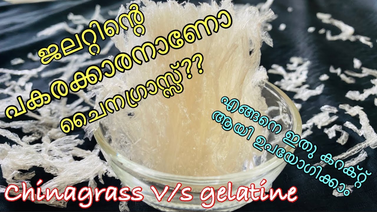 Difference between China Grass & gelatin and how to useചൈനഗ്രാസ്സും
