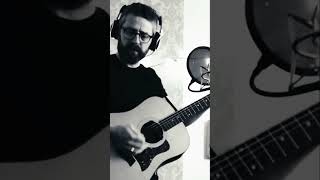 Felicia Live Snippet Darwin And The Finches A Folk-Rock Glimpse Into Heartbreak