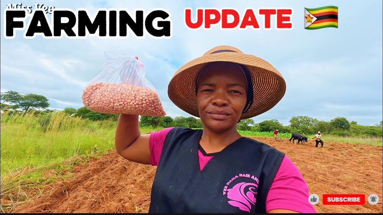 My Village Farming Journey | Rural Development 🇿🇼 - YouTube
