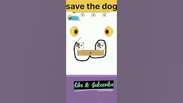save the dog 🐕  game/mobile game PK. #youtubegaming #P.k #youtubshorts #savethedog #shorts #bee