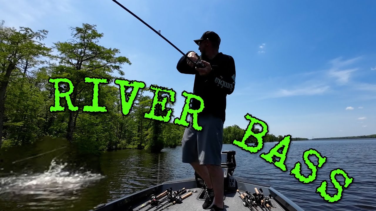 Summer Time Bass Fishing On The Chowan River YouTube