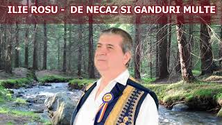 ILIE ROȘU - De necaz și gânduri multe