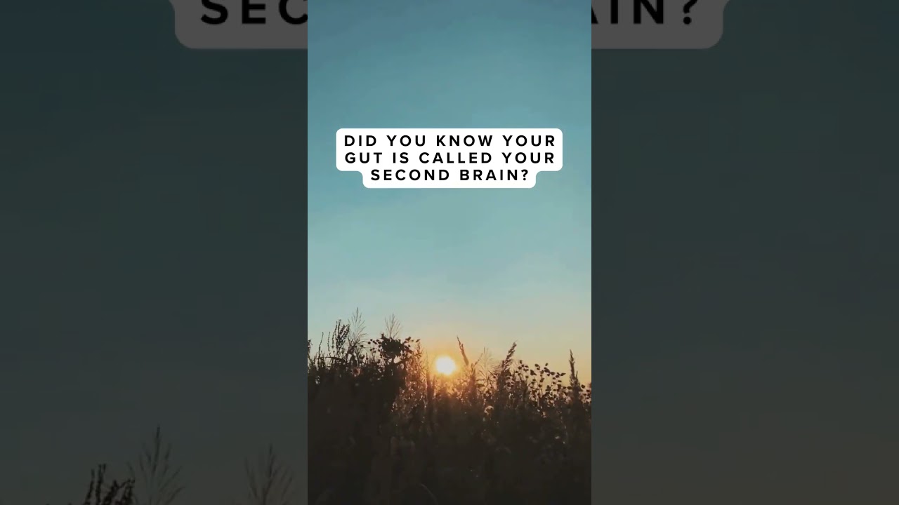 Gut Power, Second Brain - Intuitive Living Facts