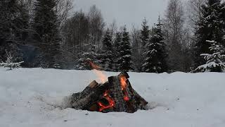A bonfire in a snowy forest for relaxation and work.