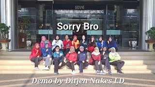 Sorry Bro Line Dance (Wiesye Baraoh) by Ditjen Nakes LD