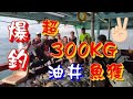 釣魚 | 南油之旅 | 2020 | 船釣 | 海釣 | Fishing of more than 300 kg | 掘削プラットフォーム | 釣り | 油井 | 鑽油台