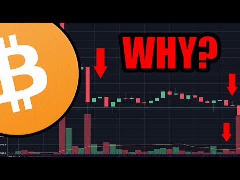 How to spot cryptocurrency whales