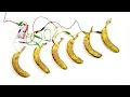 Making Music On Bananas