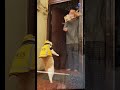 인터링크 2FA는 단순한 업데이트가 아닙니다