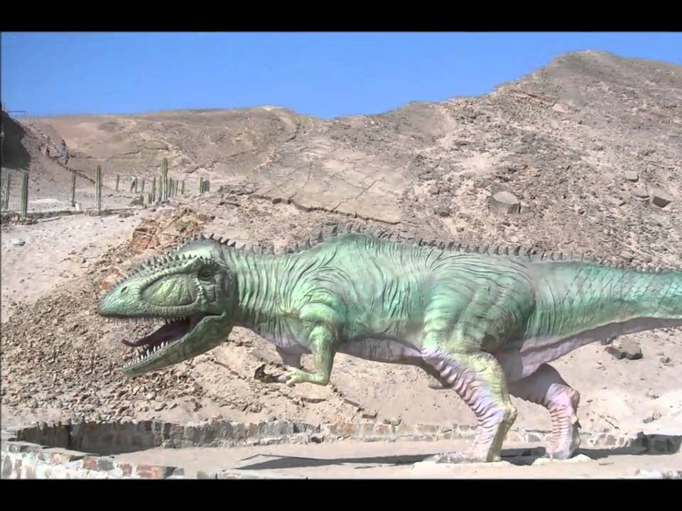 Corire - Valle de Majes