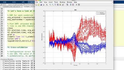 Demonstration Machine Learning Toolbox MVPA-Light - Matthias Treder