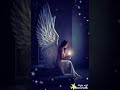 هاني شاكر   اسم ع ورق نجومي