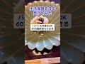 「生活保護3年受けてみた」60万程貯金もできる