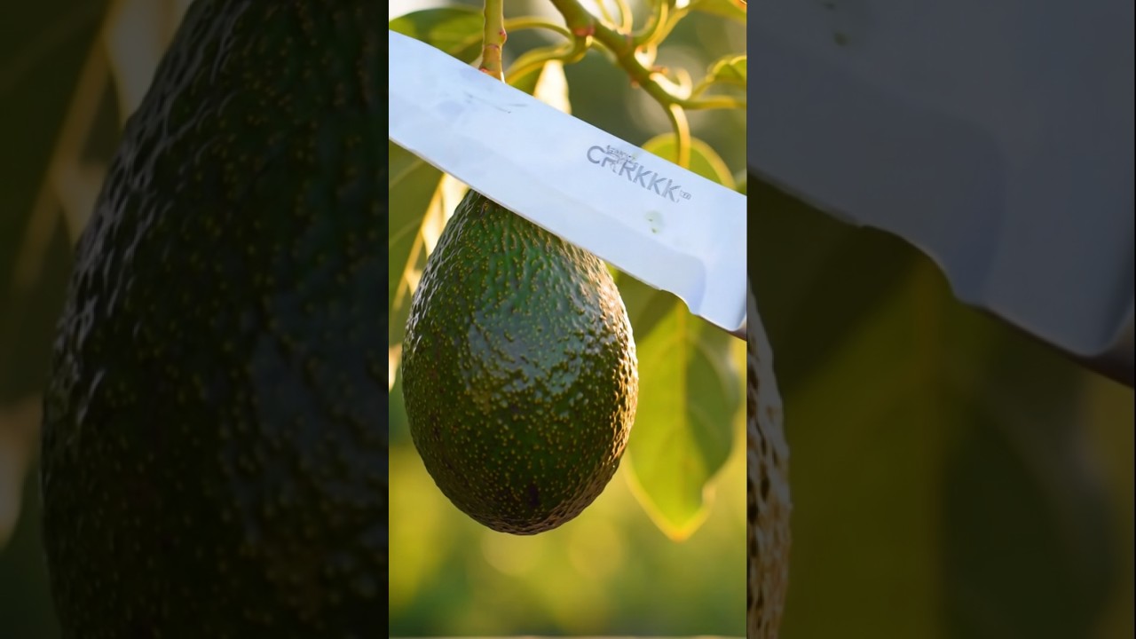 🥑 Fresh Avocado Cutting 😍 | Satisfying Fruit ASMR | Relaxing Video 