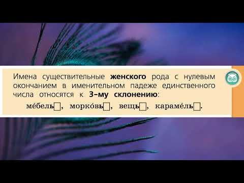 "Три склонения имён существительных", Русский язык 4 класс ч.1, Школа России