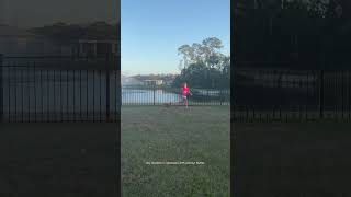 My Chicken Is Obsessed With Peanut Butter Whats So Good About Peanut Butter