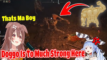 Pekora Finally Realize Doggo Is The Strongest Enemies In Elden Ring Hololive【ENG SUB】