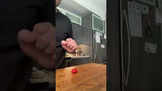 Slicing a tomato with a freshly thinned Fujiwara Denka gyuto #shorts