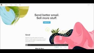 How To Configure the Contact Form, Page and MailChimp for Your Website