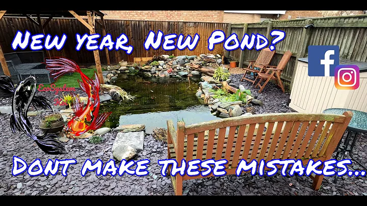DIY Pond build, design ideas, mistakes to avoid, EcoSystem Koi pond feature Ideas, What I did wrong.