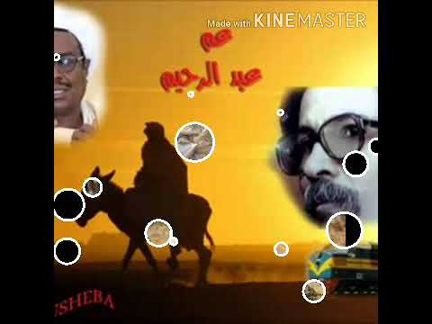 مصطفي سيداحمد